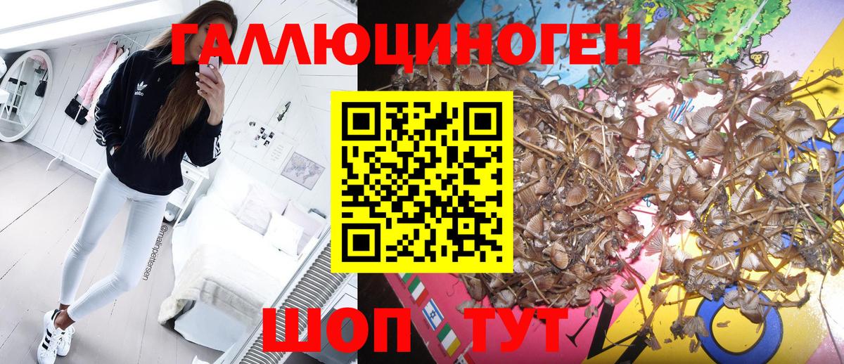 Галлюциногенные грибы мицелий Сызрань